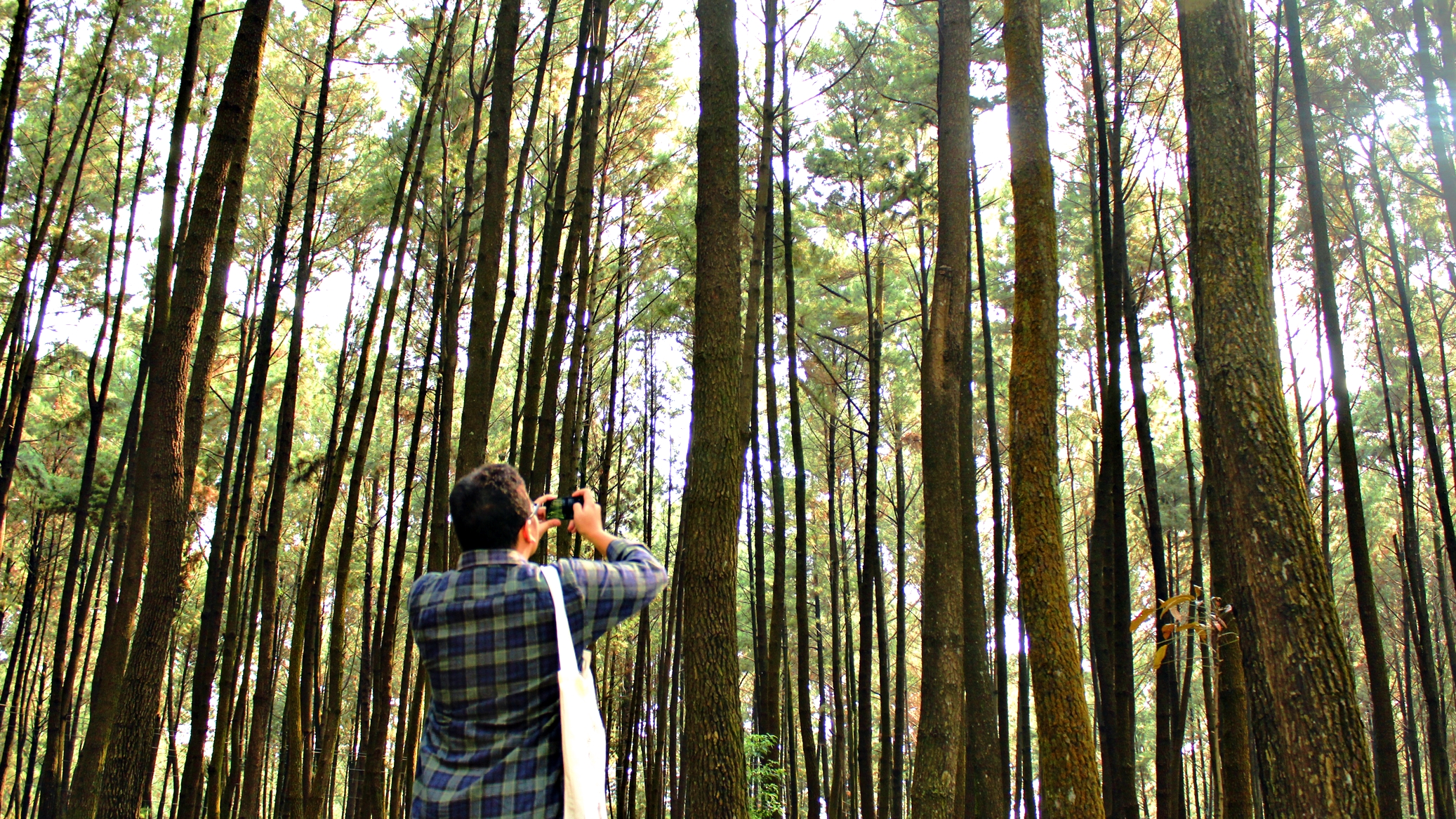Gunung Pancar