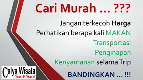 Paket Wisata Dieng Murah Bersama Calya Wisata